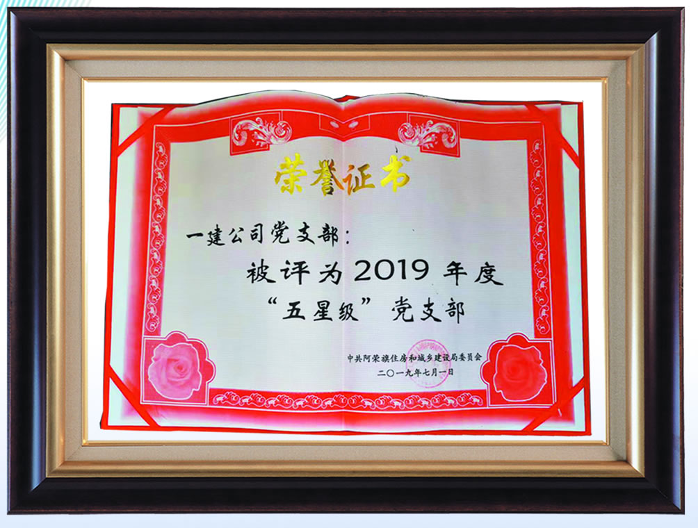 被評(píng)為2019年度”五星級(jí)“黨支部